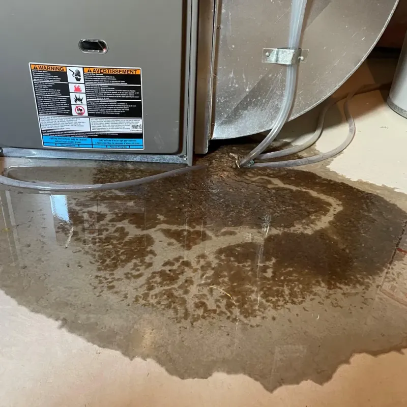 Appliance Leak Cleanup in Lapwai, ID